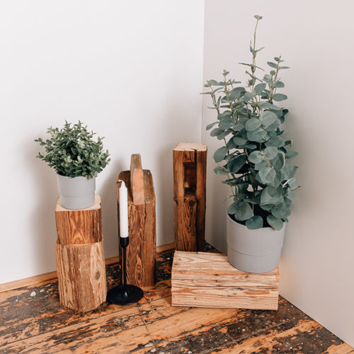 Mr.Timber DIY-Beambox